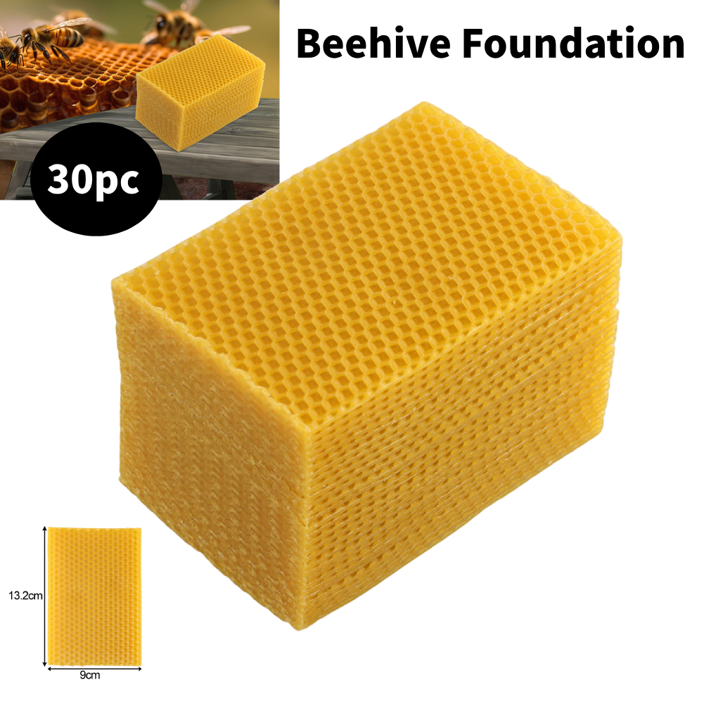 30Pcs Natural Beeswax Sheets B - Beeswax Sheet Roll review and price