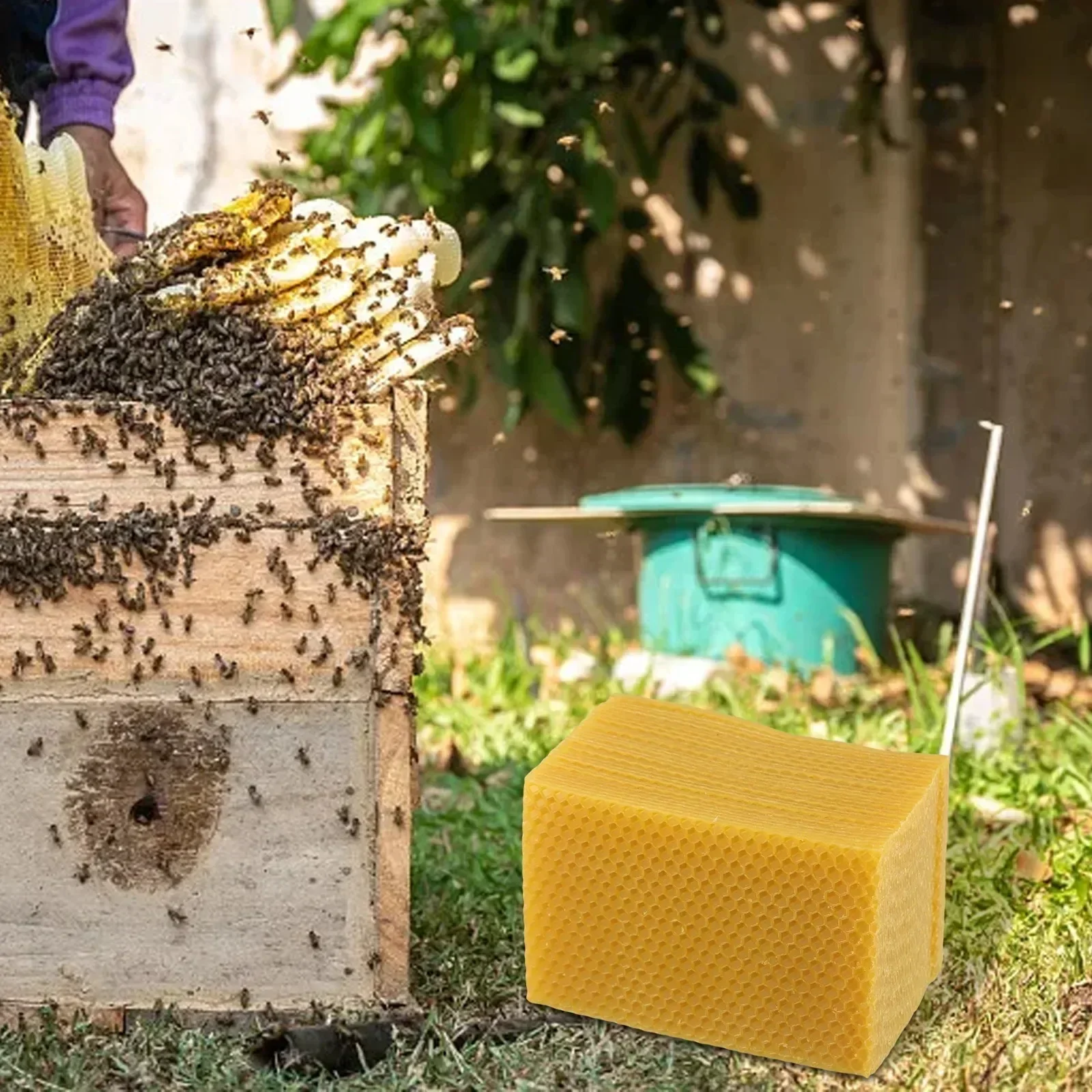 Beehive Supplies Beehive Found - Beeswax Sheet Roll review and price