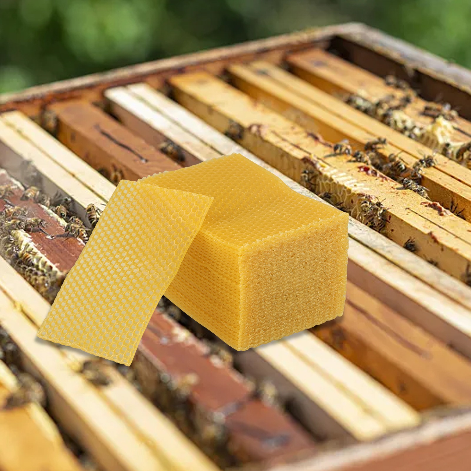 5.24 X 3.54 Beehive Foundation - Beeswax Sheet Roll review and price