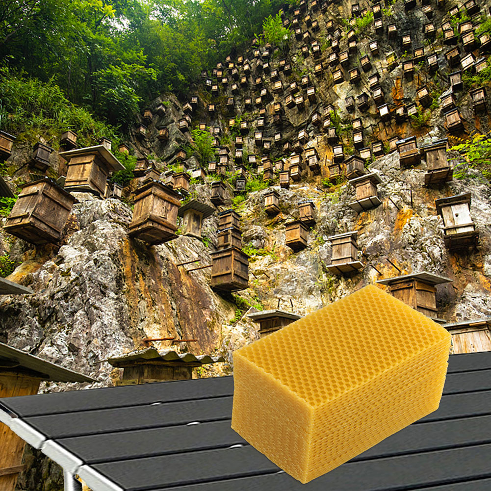 30Pcs Natural Beeswax Sheets B - Beeswax Sheet Roll review and price
